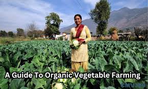Organic Vegetable Farming